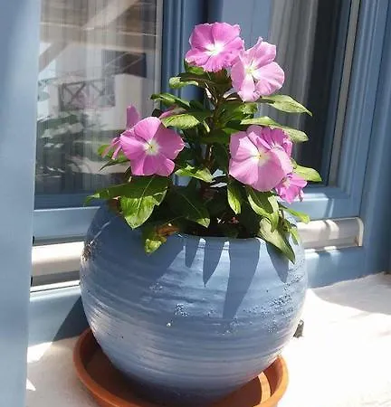 Vendégház Artemis 3*