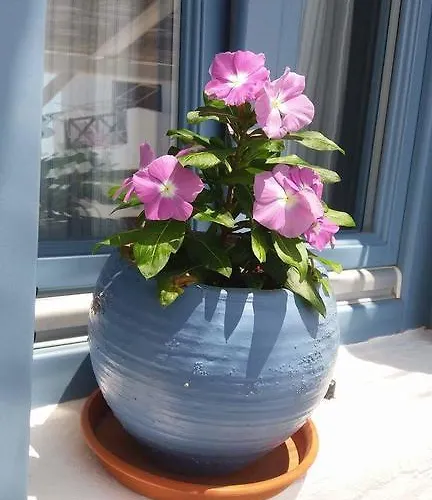 Pensjonat Artemis 3*