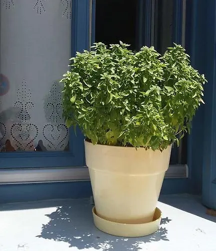 Artemis 3* Folégandros